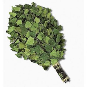 Веник Берёза