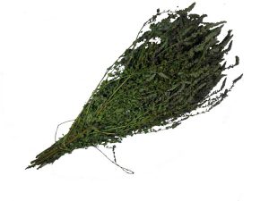 Сбор трав, Мята анисовая (лофантовая)