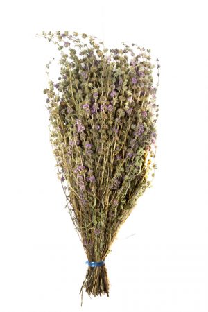 Сбор трав, Мята горная