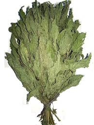 Сбор трав, Крапива