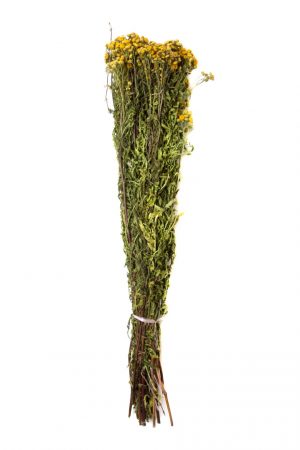 Сбор трав, Пижма