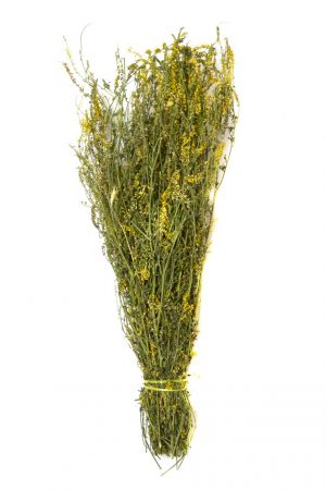 Сбор трав, Донник