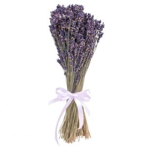 Сбор трав, Лаванда